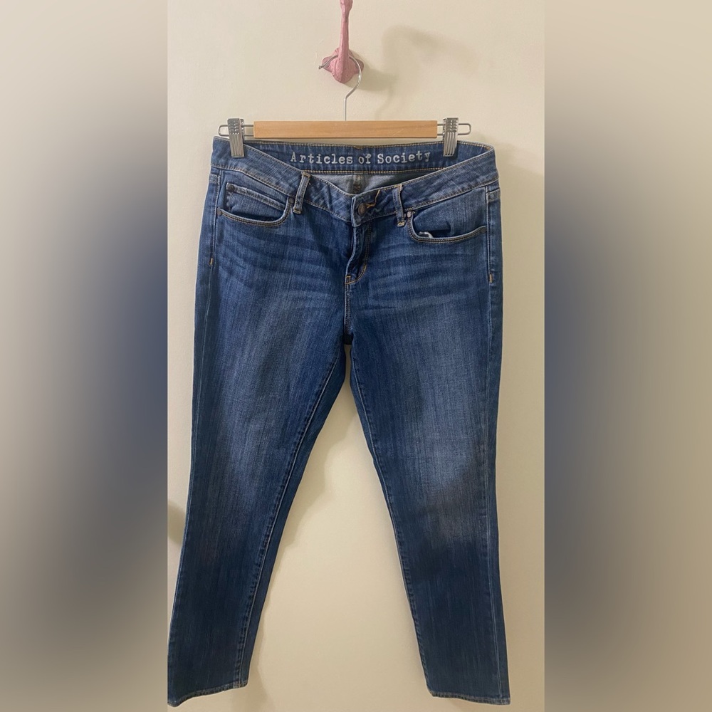 Articles Of Society Women's Denim Skinny Jeans
